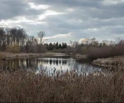 Milliken Park hiking trail - natural landscape