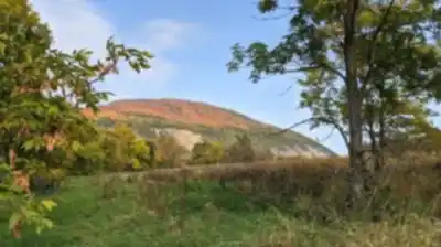 Hiking view of Réserve Nationale De Faune Du Cap Tourmente