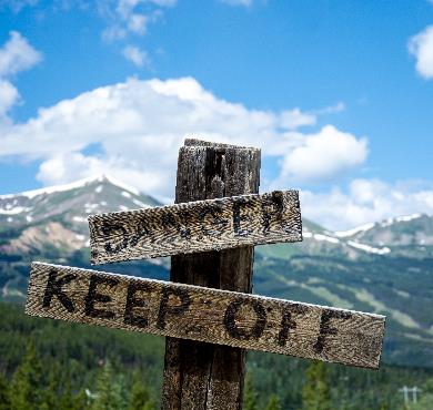 12 dangers dans nos forêts