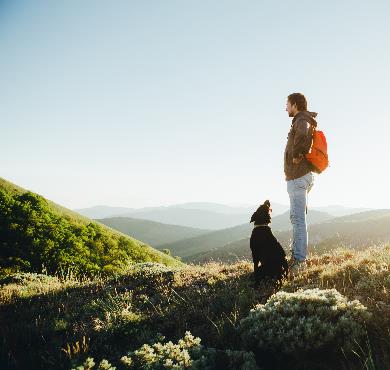 7 Tips to Better Enjoy Hiking with Your Dog
