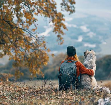 7 Tips to Better Enjoy Your Hikes with Your Dog