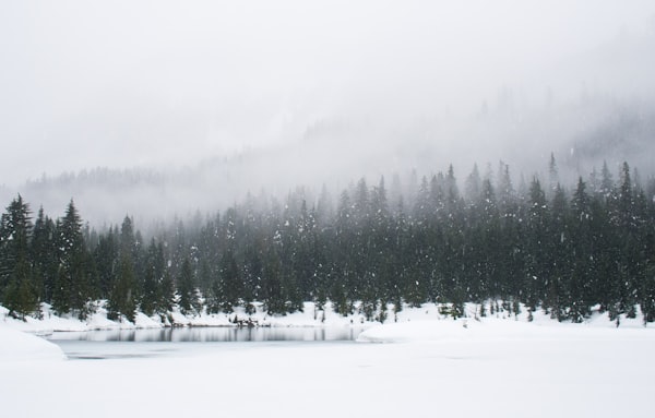 9 idées d’activités originales qui te feront apprécier l’hiver
