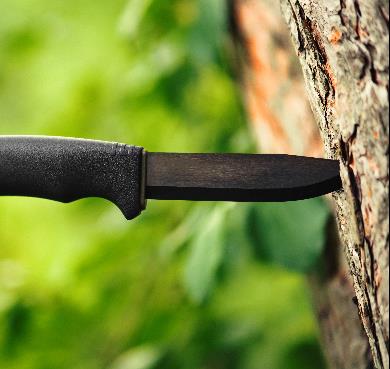 Ajouter du tranchant à ses sorties en forêt : Comment choisir le couteau parfait