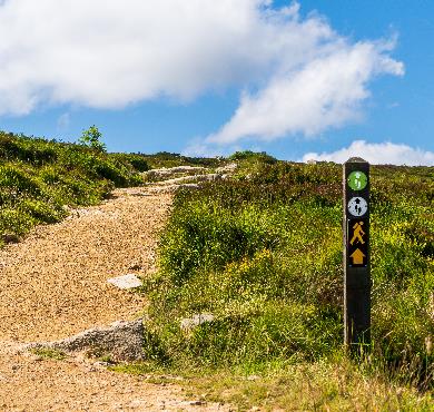 Comment évaluer le niveau de difficulté d'un sentier de randonnée avant de partir : guide complet pour choisir l'itinéraire adapté à vos capacités
