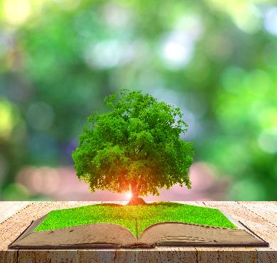 Ce que le mouvement des plantes nous enseignent