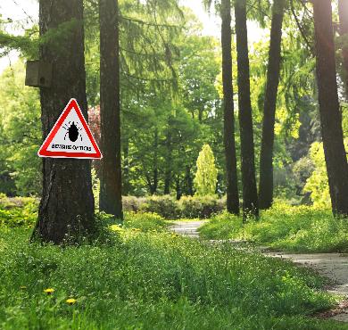 Tous savoir sur les tiques - 10 questions-réponses pour arrêter de tiquer sur les tiques