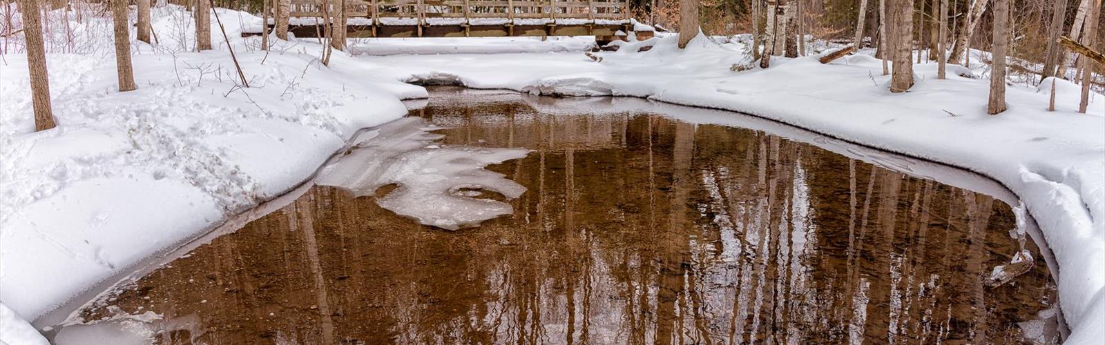 Sentier Silver Creek Conservation Area - randonnée en Halton Hills