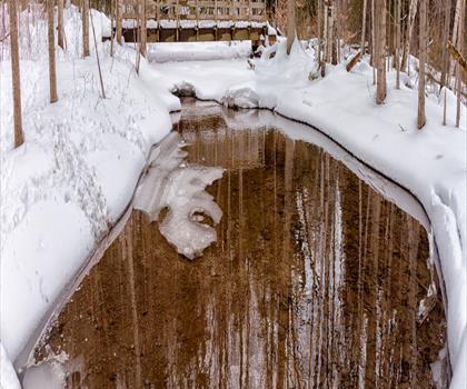 Silver Creek Conservation Area trail - hiking in Hamilton, Halton and Brant