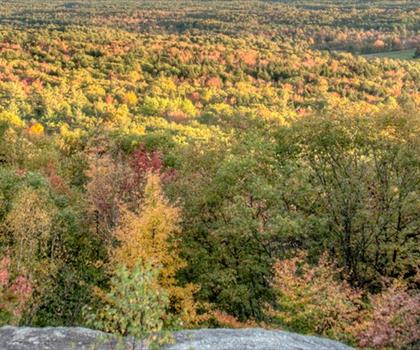 Bradbury Mountain State Park trail - hiking in Greater Portland & Casco Bay