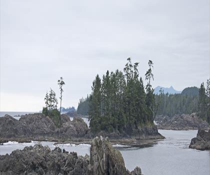 Wild Pacific Trail trail - hiking in Vancouver Island