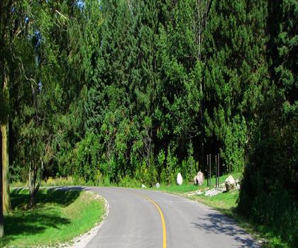 Darlington Provincial Park trail - hiking in York, Durham and Headwaters
