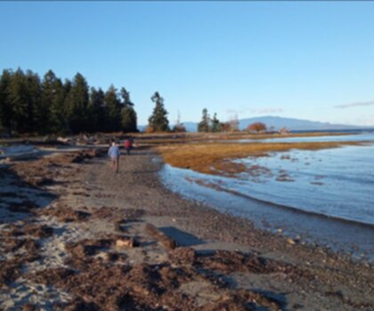 Sentier Rathtrevor Beach Provincial Park - randonnée en Île de Vancouver