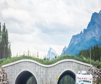 Sentier mont Murchison - randonnée en Canadian Rockies