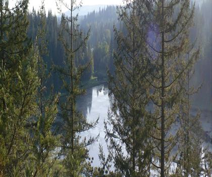 Goose Lake trail - hiking in Vancouver Coast Mountains
