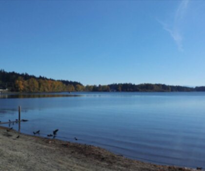 Sentier Elk Lake - randonnée en Île de Vancouver