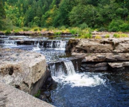 Smith River (Montana) trail - hiking in Montana  outdoor tree rock nature water waterfall river landscape plant stream watercourse pond stone