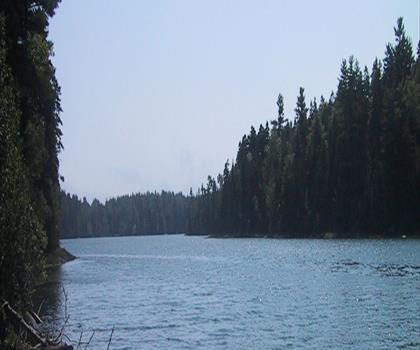 Cobscook Bay State Park trail - hiking in Down East & Acadia