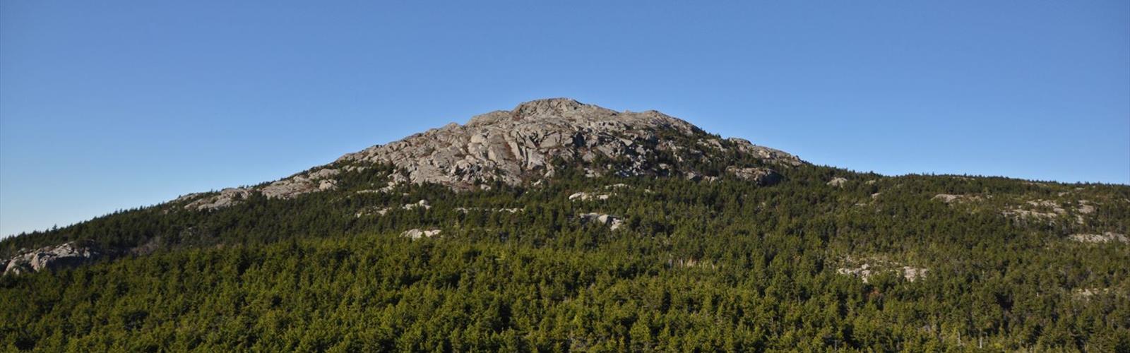 Sentier mont Gap - randonnée en Région de Monadnock