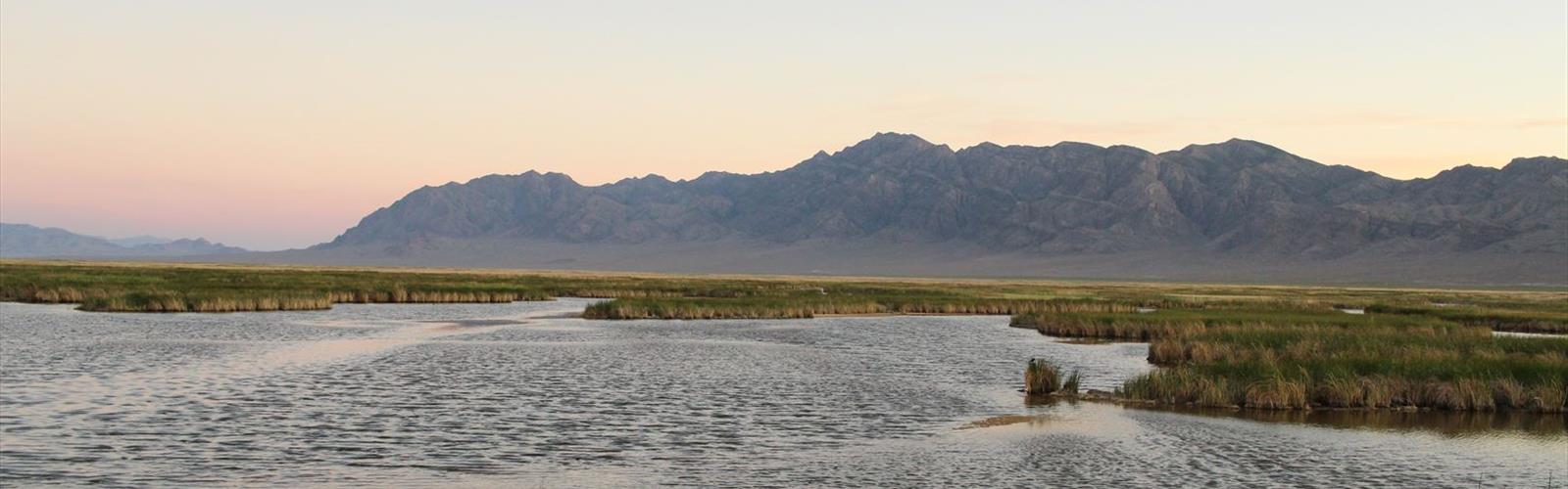 Fish Springs National Wildlife Refuge trail - hiking in Central Utah