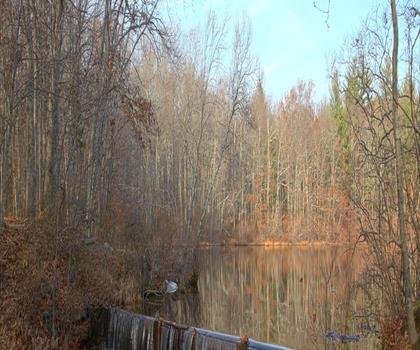 Borderland State Park trail - hiking in South Shore