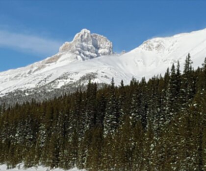Mount Hector trail - hiking in Canadian Rockies
