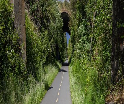 Galloping Goose Regional Trail trail - hiking in Vancouver Island