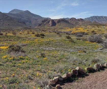 Sentier North Mount Franklin - randonnée en Big Bend Country