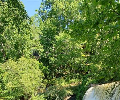 Chattahoochee River National Recreation  trail - hiking in Atlanta Metro