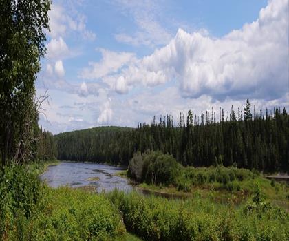 Sentier Aroostook River - randonnée en Comté d'Aroostook