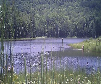 Colgate Lake trail - hiking in Catskills