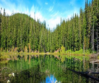Sentier lac Onion - randonnée en Canadian Rockies