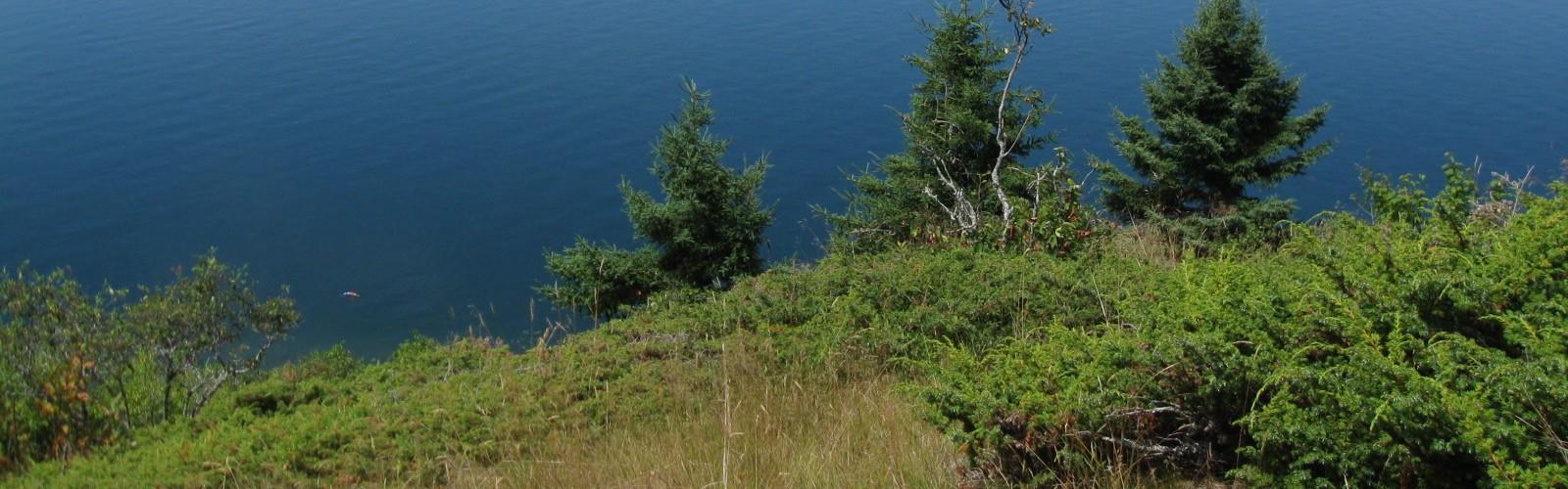 Reversing Falls Park trail - hiking in Pembroke