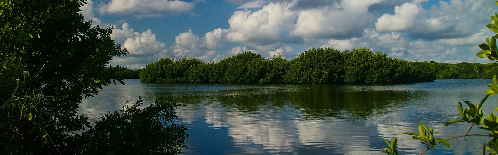 Everglades National Park, Florida