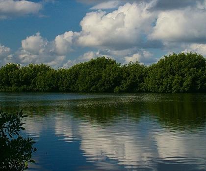 Everglades National Park trail - hiking in Southeast Florida