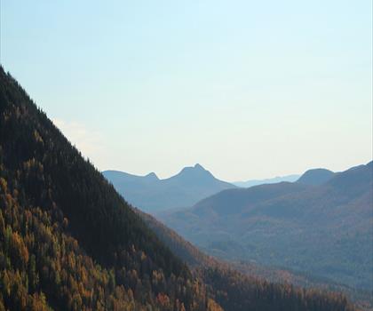 Bald Mountain trail - hiking in Adirondacks
