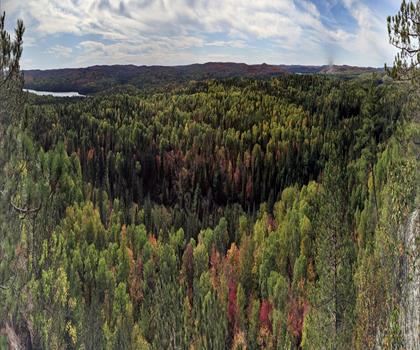 Centennial Ridges Trail trail - hiking in Algonquin Park, Almaguin Highlands, Muskoka and Parry Sound