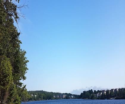 Otter Lake trail - hiking in Halifax Metro