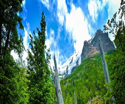 Fossil Mountain trail - hiking in Canadian Rockies