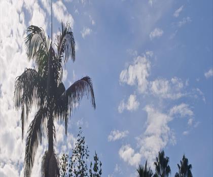 South Coast Botanic Garden trail - hiking in Greater Los Angeles
