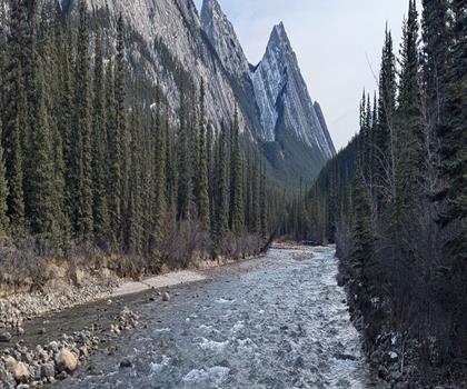 Sentier chutes Siffleur - randonnée en David Thompson Country