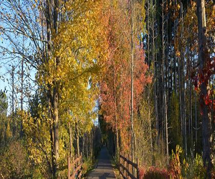Norwottuck Rail Trail trail - hiking in Pioneer Valley