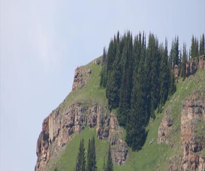 Wind Ridge Trail trail - hiking in Canadian Rockies