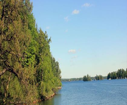 Sentier parc d'État Wellesley Island - randonnée en Mille-Îles-Voie Maritime