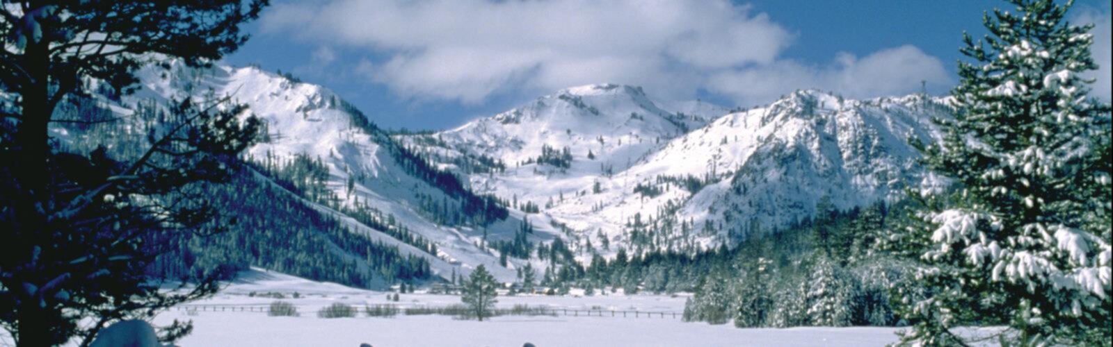 Hiking Squaw Valley Resort - panoramic view  snow outdoor sky mountain nature tree landscape ice skiing slope ski slope colorado spruce tree araucaria tree plant