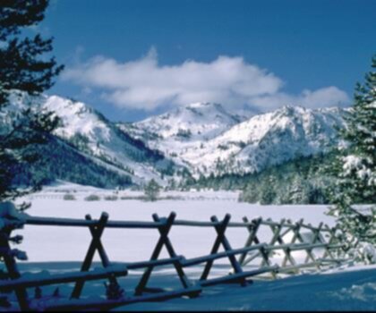 Squaw Valley Resort trail - hiking in Sierra Nevada  snow outdoor sky mountain nature tree landscape ice skiing slope ski slope colorado spruce tree araucaria tree plant