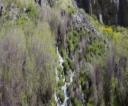 Blacksmith Fork trail - hiking in Northern Utah