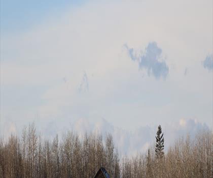 Glenbow Ranch Provincial Park trail - hiking in Calgary & Area