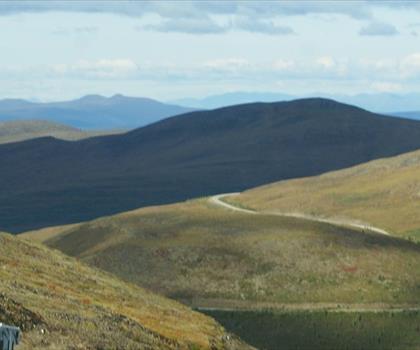 Top of the World Highway trail - hiking in Interior Alaska