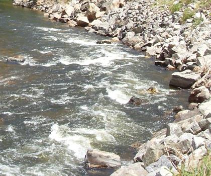 Cache La Poudre River trail - hiking in Denver and Cities of the Rockies