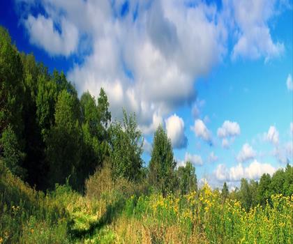Mountain Meadow Preserve trail - hiking in The Berkshires